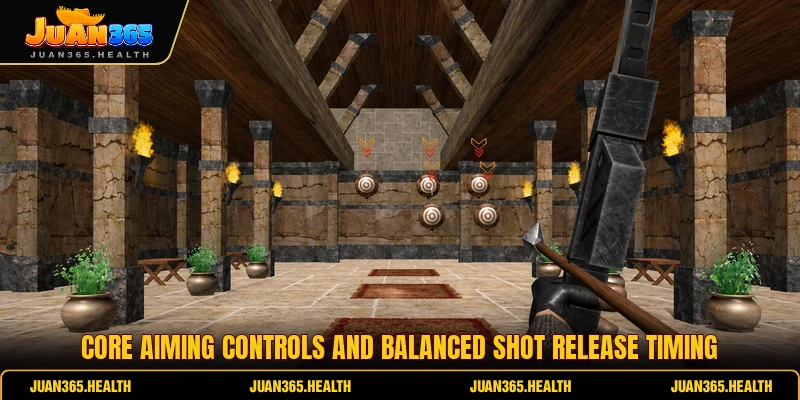 Core aiming controls and balanced shot release timing