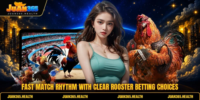 Fast match rhythm with clear rooster betting choices