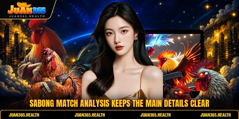 Sabong Match Analysis