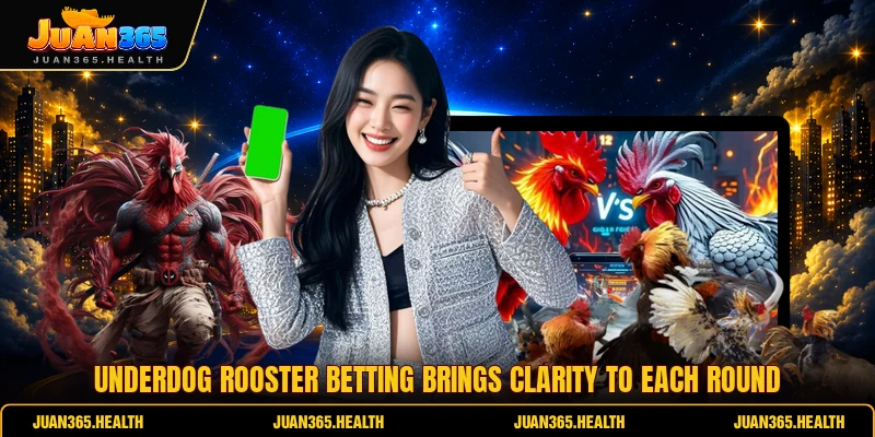 Underdog Rooster Betting